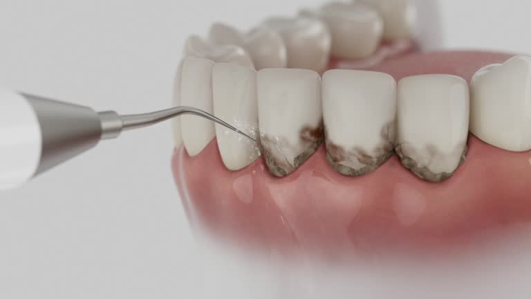 Reliable Dental contractor in Nevada, TX by Dentist Open Now